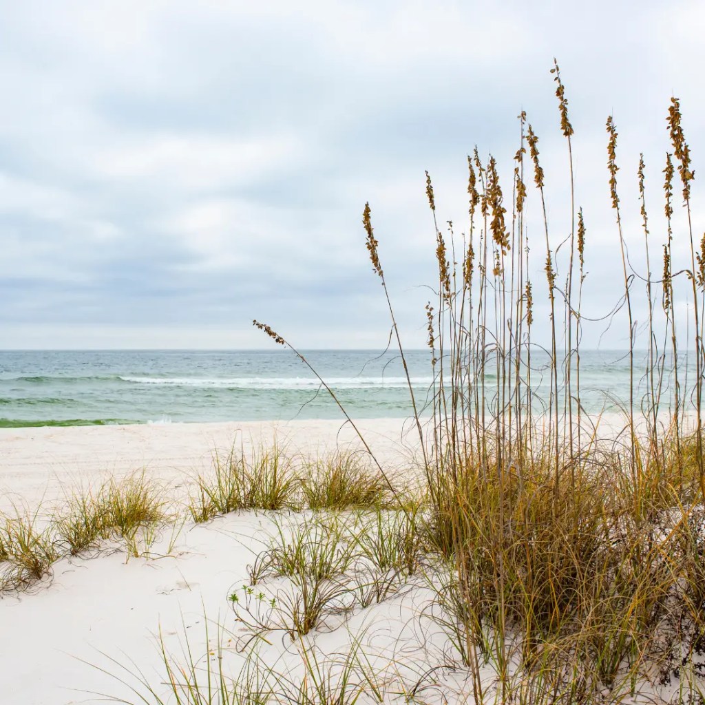 national parks in florida