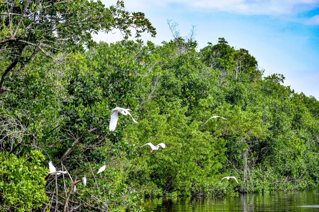 national parks in florida