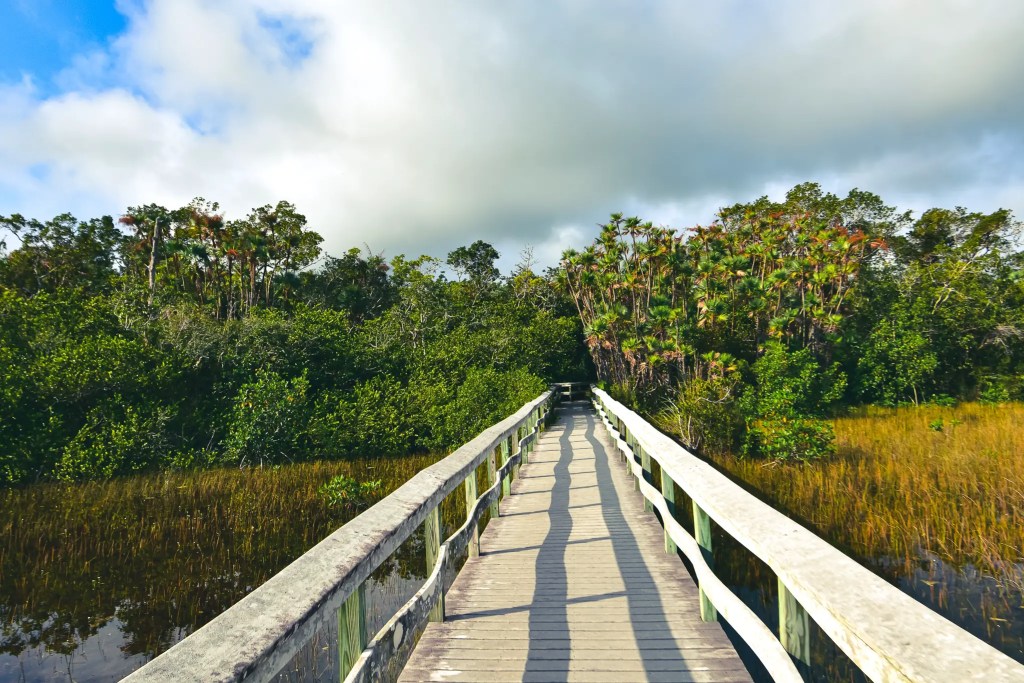 national parks in florida