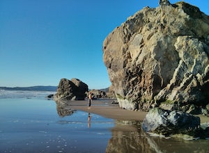 Bouldering & BBQ at Stinson